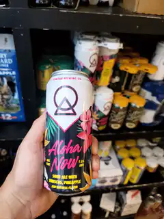 Hand holding Aloha Now beer can