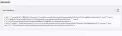 Raw Metadata JSON Display