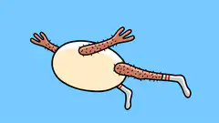 Hairy egg character floating