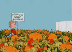 Linus holds sign in pumpkin patch