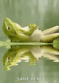 frog floating on water same here