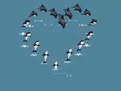 Orca pod diving in a circle