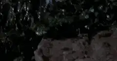 Alien chestburster emerging from dirt