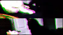black cat slaps white cat