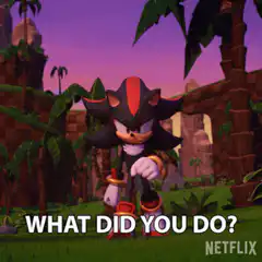 Shadow the Hedgehog What Did You Do