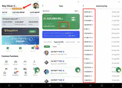 Rey Oliver C. Team Income Screenshot