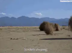 tumbleweed rolling in desert