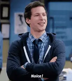 Andy Dwyer says Noice
