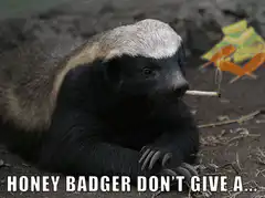Honey Badger Don't Give A
