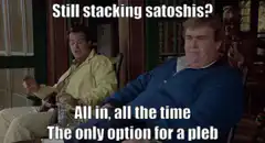 Still stacking satoshis? All in, all the time