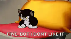 Tom Cat Fine But I Dont Like It