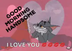 Tom cat good morning handsome