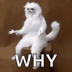 Confused white cat asking why