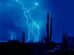 lightning storm over desert cacti