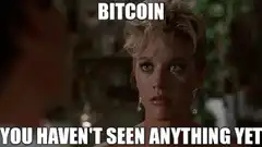 Bitcoin You Haven't Seen Anything Yet