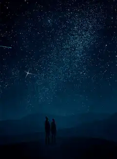 Couple watching shooting stars