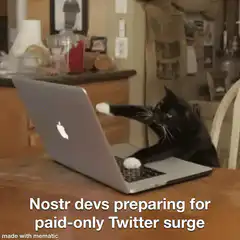 black cat typing on laptop