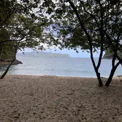 Tropical beach view through trees