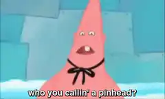 Patrick Star who you callin' a pinhead