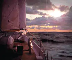 Cat on a boat at sunset