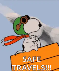 Snoopy Safe Travels
