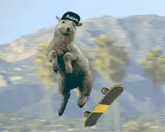 Skateboard Sheep in Desert