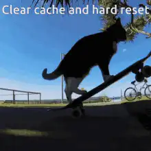 Cat skateboard hard reset