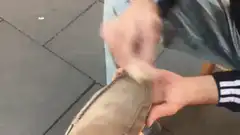 Person brushing a brown shoe