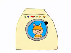 cat in washing machine