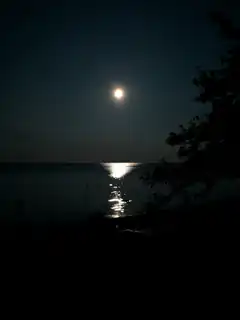 moonlight over water at night