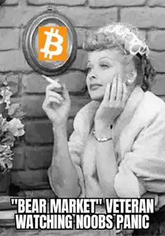 Lucy Bitcoin Bear Market Veteran