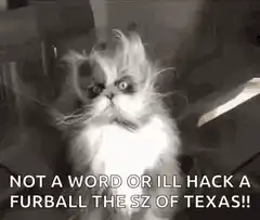 Grumpy Cat Not A Word Or Ill Hack A Furball