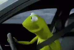 Kermit the Frog driving and nodding