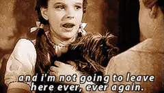 Dorothy says she's not leaving ever again