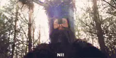 Monty Python and the Holy Grail Ni!