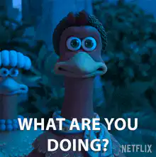 Chicken running with what are you doing text