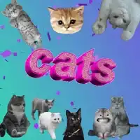 Collage of cats with animated text