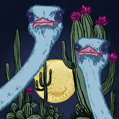 Three blue ostriches in desert at night