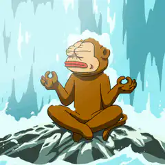 Monkey meditating in the cold