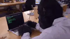 Gorilla typing on laptop in office