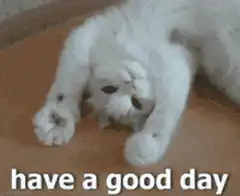 white cat waving have a good day