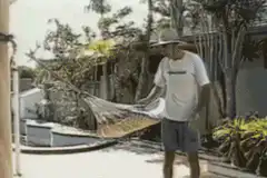 Man gets hit by falling tree