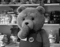Ted bear puts on a HELP button