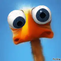 shocked cartoon bird