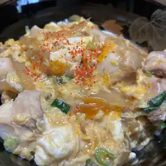 close-up of chicken and egg rice bowl