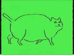 Fat cat walking on green screen