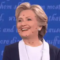 Hillary Clinton with animated flies