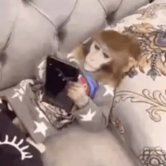 monkey on couch with tablet