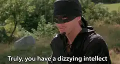 Zorro Truly You Have A Dizzying Intellect