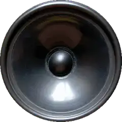Close-up of a black speaker cone